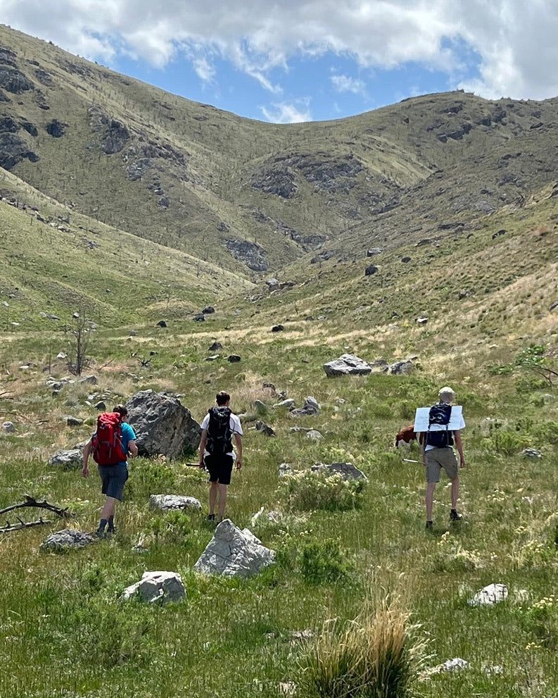 Pulse Hydration System